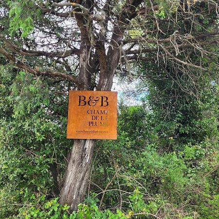B&B Champdelaplume Barjac (Gard) Exterior foto